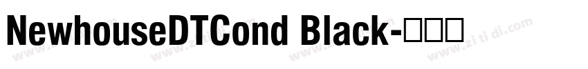 NewhouseDTCond Black字体转换
